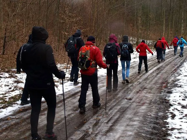 Migawki z wędrówki wzdłuż potoku Cedronu