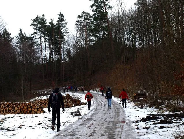 Migawki z wędrówki wzdłuż potoku Cedronu