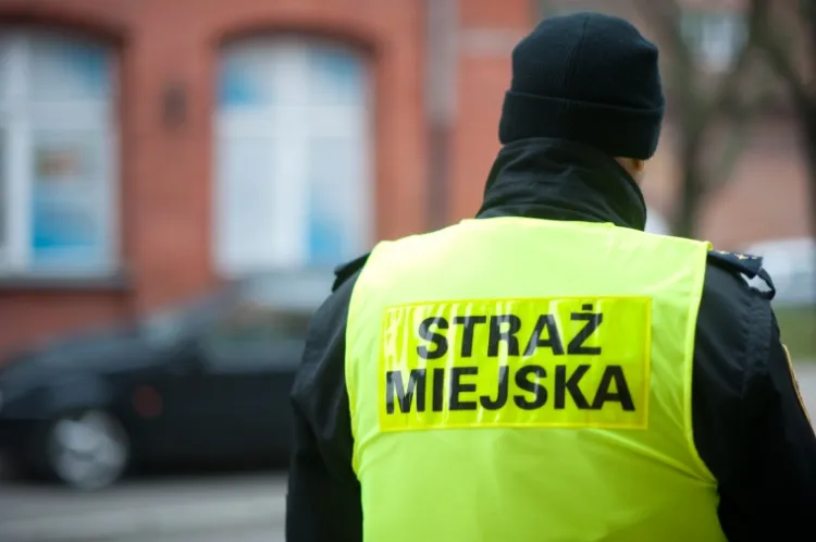Prokuratura Gdańsk-Śródmieście przesłuchała już kilkudziesięciu funkcjonariuszy Straży Miejskiej w związku z nieprawidłowościami, do jakich miało dochodzić od blisko 10 lat.