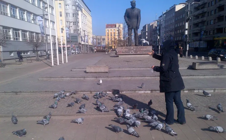 Osób karmiących gołębie nie brakuje m.in. na Placu Kaszubskim.