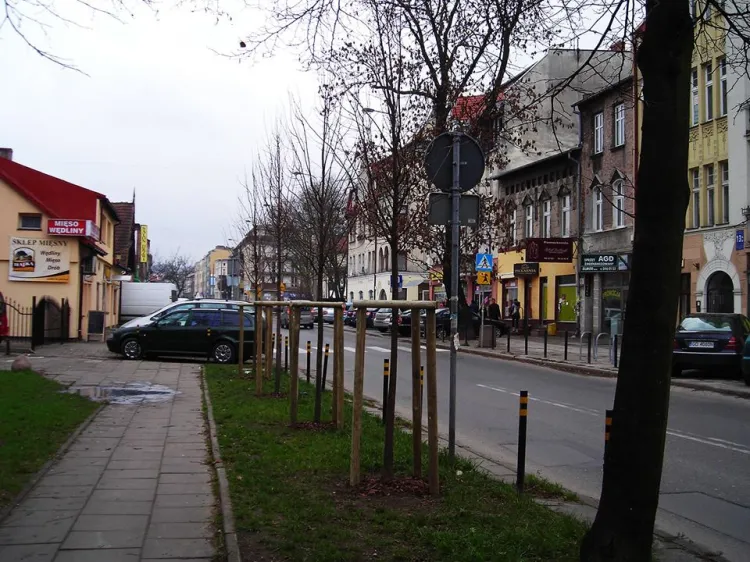 Pojedynczych nasadzeń dokonano we Wrzeszczu - na ul. Partyzantów.