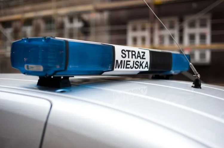 Nacisk na jak największą liczbę mandatów, kary dla opornych - taki ma być obraz gdańskiej Straży Miejskiej.