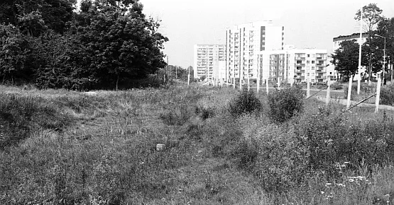 Tak wyglądał teren dawnego parku przy dworku w 1994 roku, na trzy lata przed zakupem. Obecnie teren jest ogrodzony.