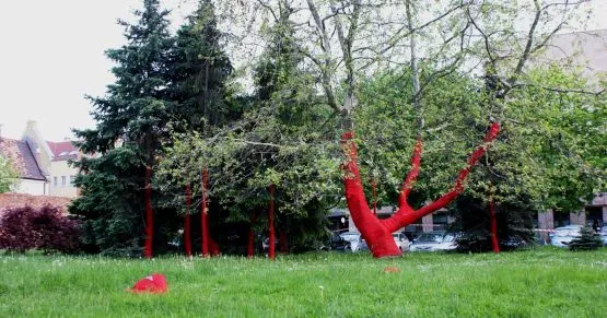 Zmutowane, czerwone drzewa? Nie, to praca Ewy Kobylarczyk na Placu Kobzdeja.