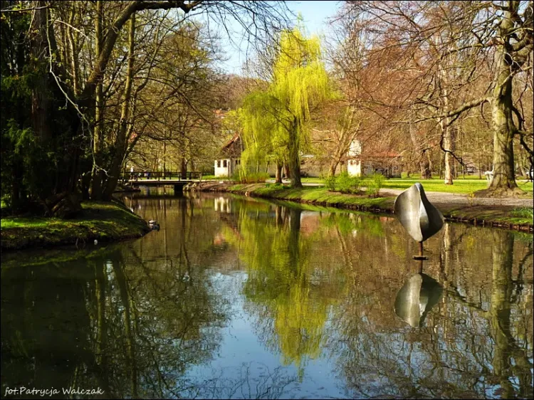Genius loci Parku Oliwskiego oddają liczne fotografie tego miejsca, które są stałym elementem albumów o Gdańsku i pocztówek. 