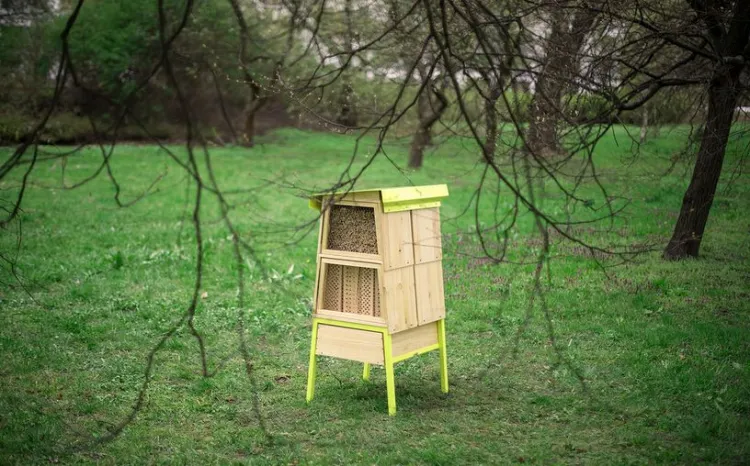 Takie hotele dla pszczół staną też w Trójmieście. 24 maja w Parku Oliwskim pojawią się pierwsze z planowanych pięciu.