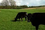 Migawki z wycieczki trasą rowerową Północnych Kaszub