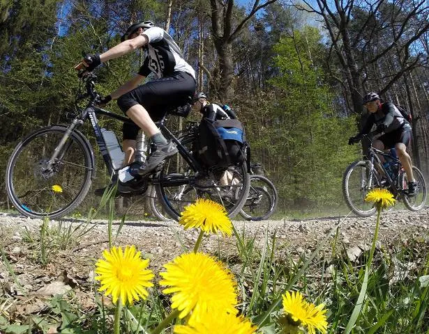 Migawki z wycieczki trasą rowerową Północnych Kaszub
