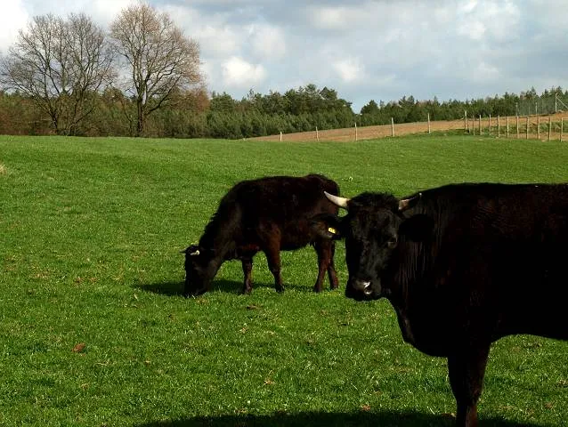 Migawki z wycieczki trasą rowerową Północnych Kaszub