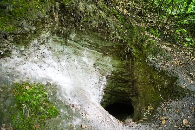 Niepozorne wejście sprawia, że niewiele osób zdaje sobie sprawę z tego, że Jaskinia Goryla jest tak duża.