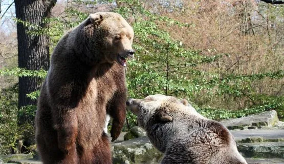 Dwie niedźwiedzie sesje, mijającego tygodnia, dały się we znaki inwestorom.