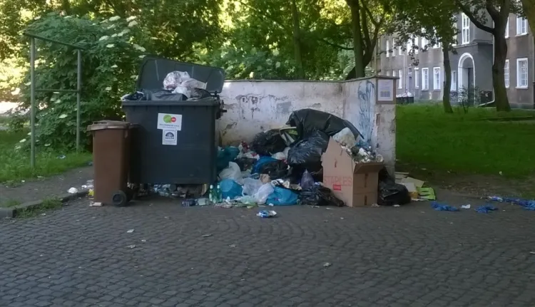 Śmietnik w podwórku między ulicami Ogarną i Długą. Choć z tego terenu śmieci wywożone są teoretycznie siedem razy w tygodniu, problem przepełnionych wiat nie zniknął.