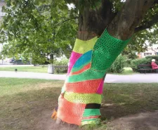 W Parku Świętopełka jedno z drzew zostało... ubrane w sweter.