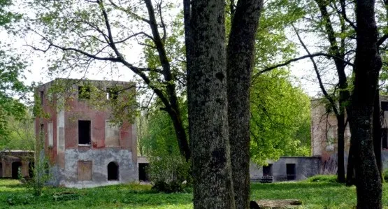 Ruiny pałacu rodu Dohnów w Markowie