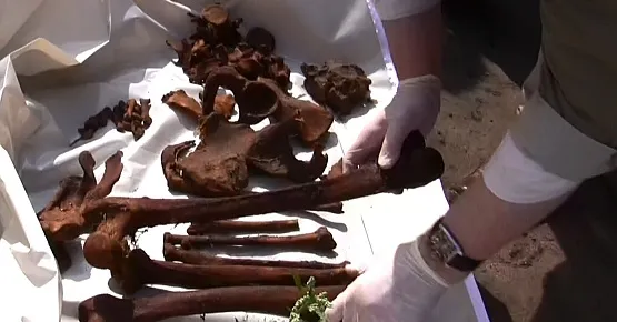 Podczas ekshumacji wydobyto z ziemi kilkanaście, dobrze zachowanych kości, ale także resztki butów, fajkę, fragment skórzanego paska.