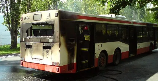 W pożarze zniszczeniu uległ tył autobusu.
