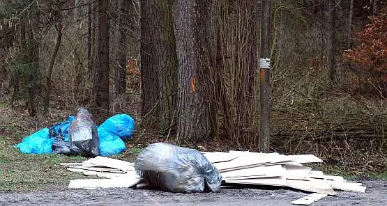 Śmieci stały się już plagą gdyńskich lasów.