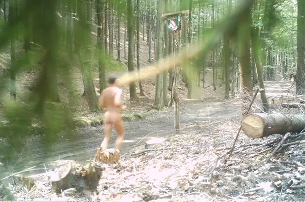 Nagi biegacz nie wiedział, że "wpadł" w oko jednej z kamer ukrytych w trójmiejskich lasach.
