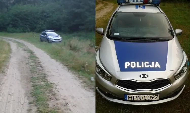 Radiowóz, w którym spali policjanci, zaparkowany był przy leśnej drodze.