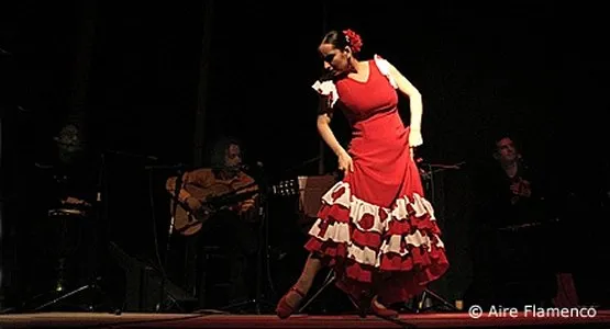 Trójmiejski zespół Aire Flamenco podczas występu.