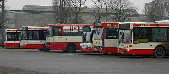 Flota gdańskich autobusów jest niezwykle różnorodna. W przyszłym roku znikną z niej jednak Jelcze i Ikarusy (drugi i czwarty od prawej), przybędzie natomiast Solarisów (drugi od lewej).