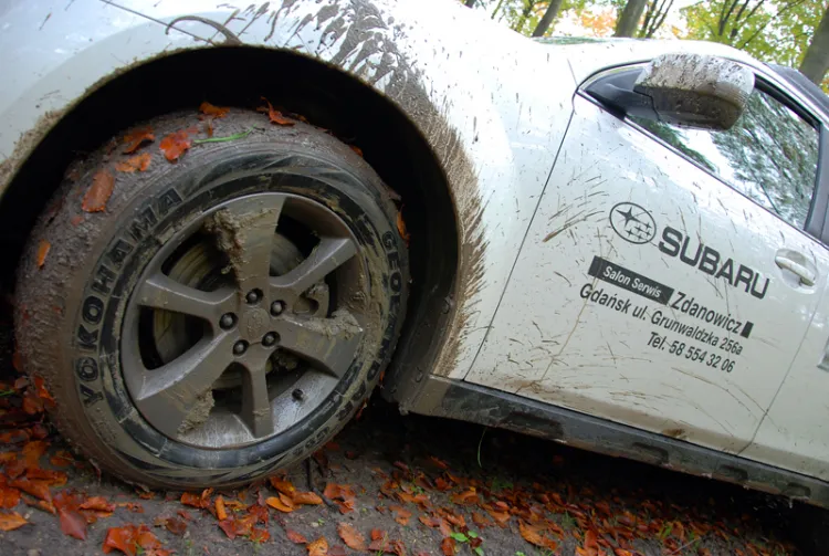 Subaru Outback