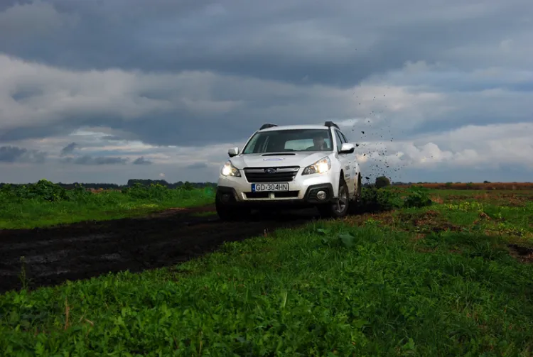 Subaru Outback