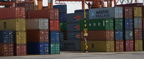Terminale trójmiejskich portów nie zapełnią się same ładunkami, a zarządy portów w Gdyni i Gdańsku nie zabiegają o ładunki z sąsiadujacych z nami krajów - pisze Kuba Łoginow. 