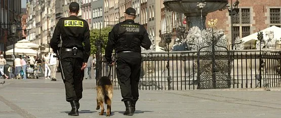 W Gdańsku jest dziewięć komisariatów. Dzięki reorganizacji ich pracy, gdańskie ulice ma patrolować więcej policjantów. 