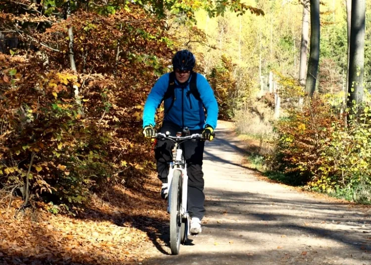 Jesienna wyprawa rowerem przez las ma swój urok.