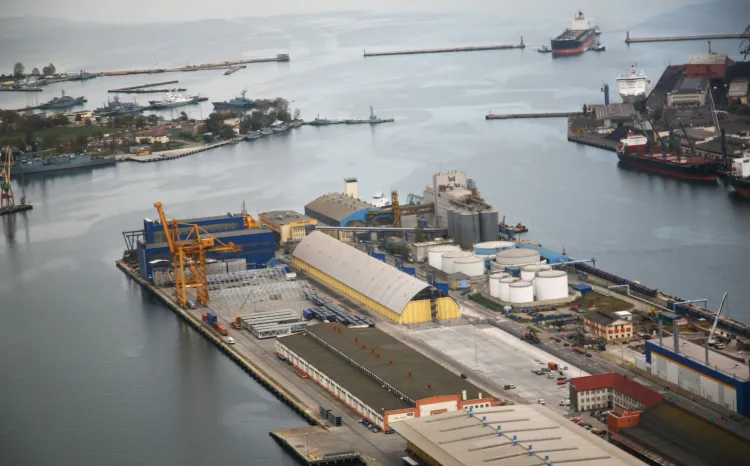 Port Gdynia jest liderem wśród polskich portów w przeładunkach  w grupie zbóż i pasz.
