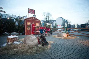 Jarmark Bożonarodzeniowy potrwa na Targu Węglowym do 23 grudnia.