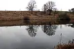 Migawki z wycieczki rowerowej szlakiem z Rumi do Redy