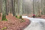 Migawki z wycieczki rowerowej szlakiem z Rumi do Redy