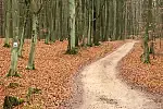 Migawki z wycieczki rowerowej szlakiem z Rumi do Redy