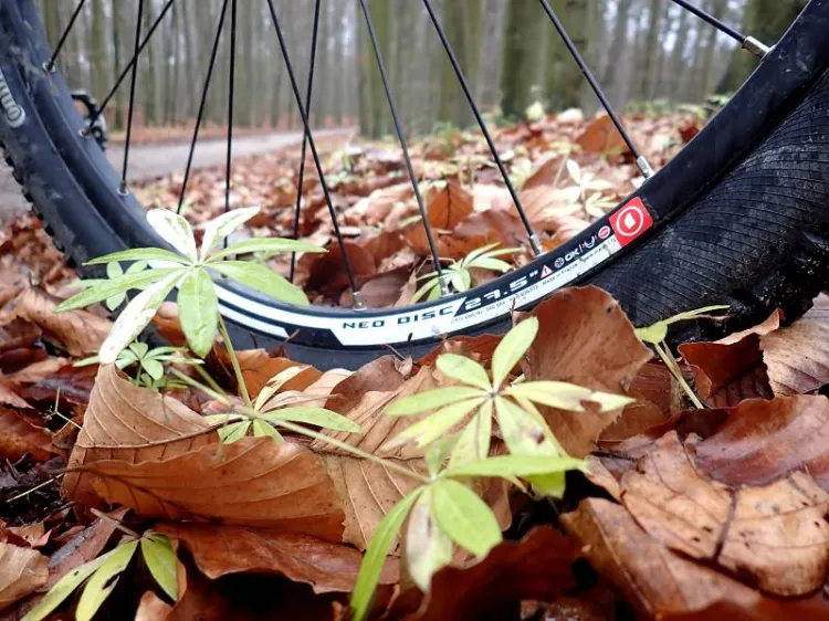 Migawki z wycieczki rowerowej szlakiem z Rumi do Redy