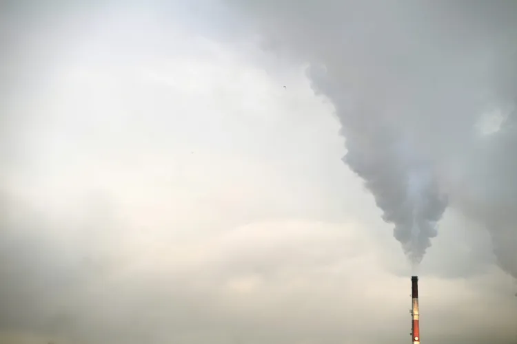 Chociaż w Gdańsku powietrze jest czystsze niż w większości polskich miast, to niektóre normy zanieczyszczeń wciąż są przekraczane.