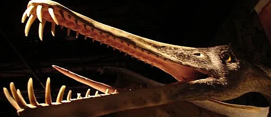 Naturalnej wielkości rzeźby ponad 30 gatunków dinozaurów można oglądać do 20 grudnia na terenie Międzynarodowych Targów Gdańskich.