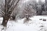 Oznakowanie szlaku rowerowego Kaszëbskô Stegna