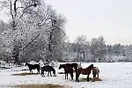 Migawki z zimowej wycieczki szlakiem rowerowym w Gminie Stężyca