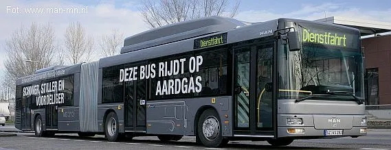 Już w poniedziałek autobusy z charakterystycznym garbem, podobne do pokazanego na zdjęciu, wyjadą na ulice Gdyni