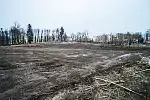 Właściciel zabytkowego parku "Dwór Migowo" posprzątał teren.