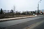 Właściciel zabytkowego parku "Dwór Migowo" posprzątał teren.