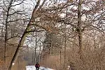 Migawki z zimowej wycieczki Szlakiem Rowerowym Pradoliny Łeby-Redy