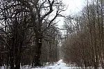 Migawki z zimowej wycieczki Szlakiem Rowerowym Pradoliny Łeby-Redy