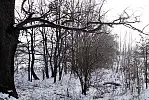 Migawki z zimowej wycieczki Szlakiem Rowerowym Pradoliny Łeby-Redy