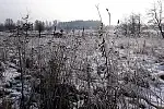 Migawki z zimowej wycieczki Szlakiem Rowerowym Pradoliny Łeby-Redy