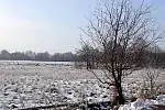 Migawki z zimowej wycieczki Szlakiem Rowerowym Pradoliny Łeby-Redy