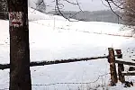 Migawki z zimowej wycieczki Szlakiem Rowerowym Pradoliny Łeby-Redy