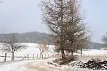 Migawki z zimowej wycieczki Szlakiem Rowerowym Pradoliny Łeby-Redy